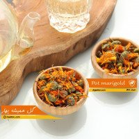 گل-همیشه-بهار