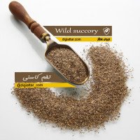 تخم-کاسنی