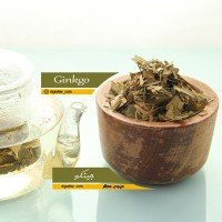 برگ-جینکو