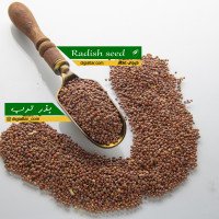 بذر-ترب