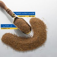 تخم-منداب