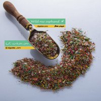 اسپند-رنگی