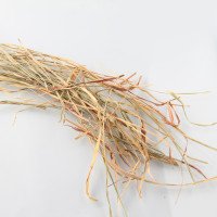 علف-لیمو
