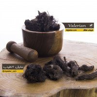 ریشه-سنبل-الطیب-عمده