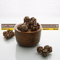 میوه-سرو-عمده