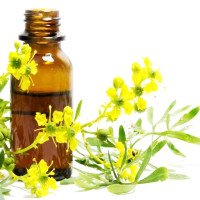 روغن-سداب-عمده