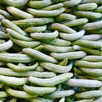 خیار-چمبر-عمده