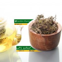 آویشن-باغی-عمده