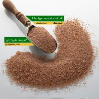 قدومه-شیرازی-عمده