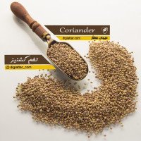 تخم-گشنیز-عمده