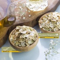 گلپر-پرک-عمده
