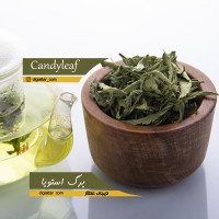 برگ-استویا-عمده