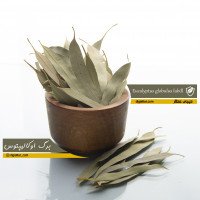 اکالیپتوس-برگ