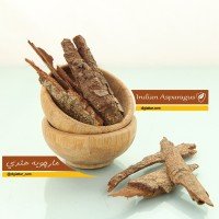 مارچوبه-هندی-سلیخه