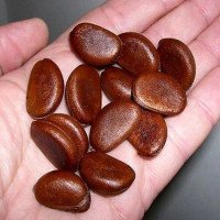 تخم-خرمندی