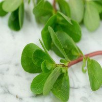 برگ-خرفه