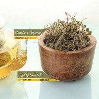 آویشن-باغی