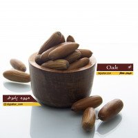 میوه-بلوط