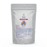 بیواستارتر-باریج