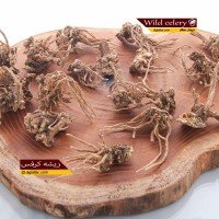 ریشه-کرفس