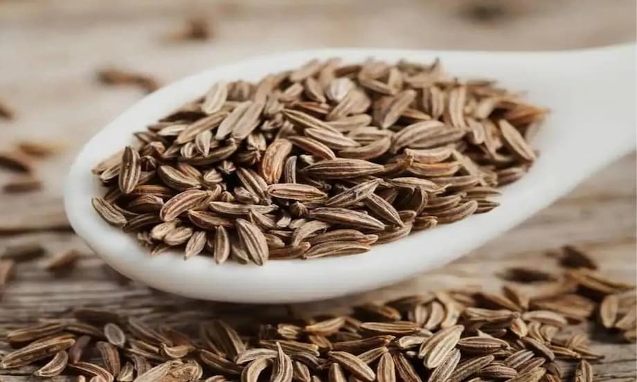 بررسی خواص زیره سیاه برای لاغری شکم