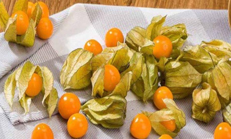 عروسک پشت پرده برای چی خوبه؟ 20 خاصیت کلیدی
