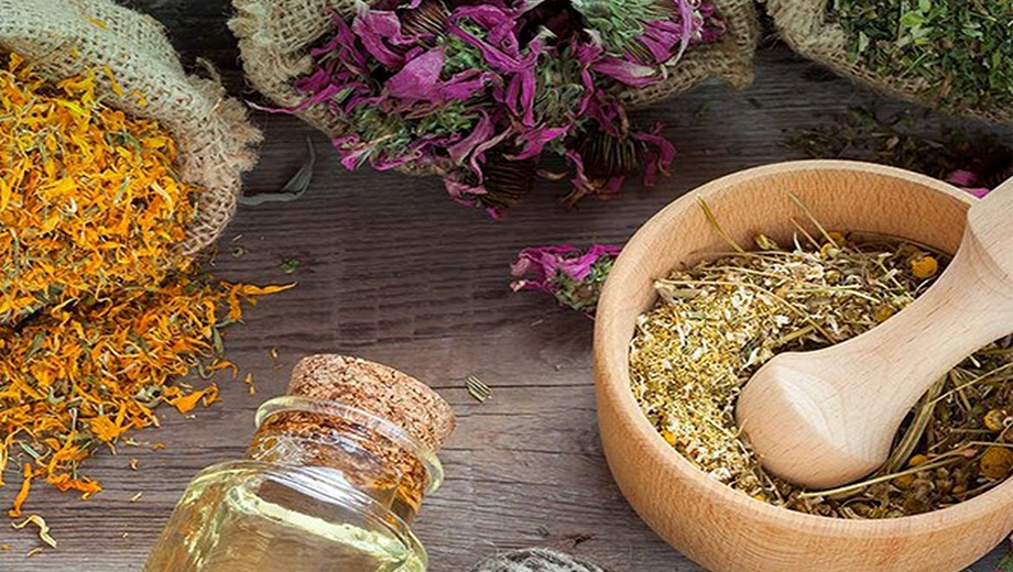 عمده فروشی اینترنتی گیاهان دارویی