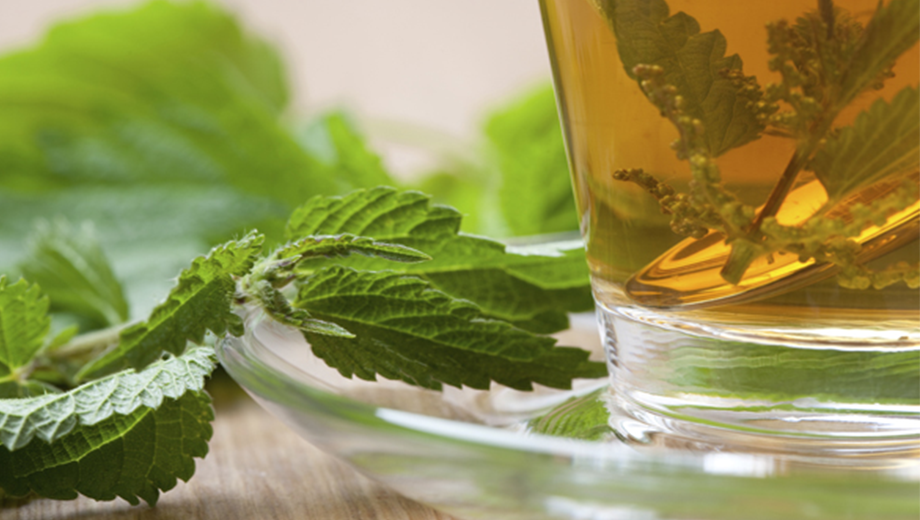 بهترین گیاه دارویی برای پروستات