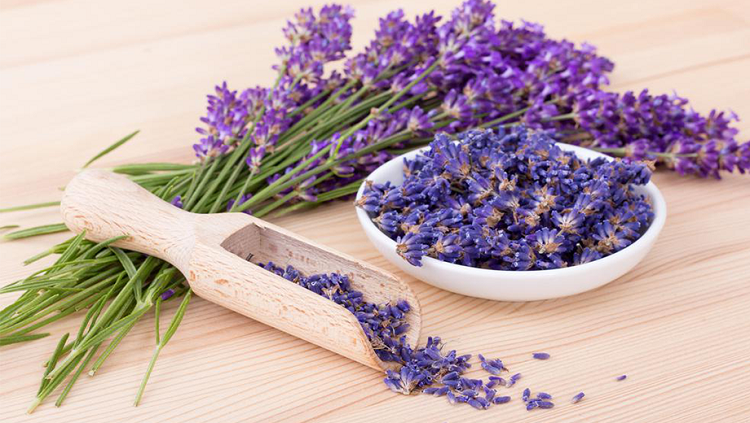 خواص دارویی اسطوخودوس چیست؟