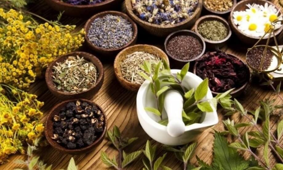 درمان با گیاهان دارویی و طب سنتی ایران