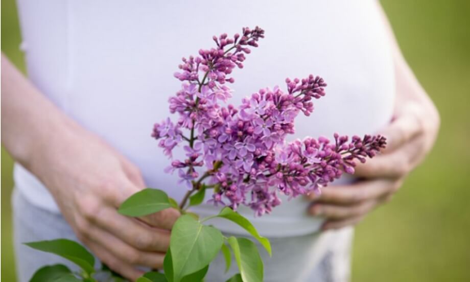 داروی گیاهی برای جلوگیری از خونریزی در بارداری
