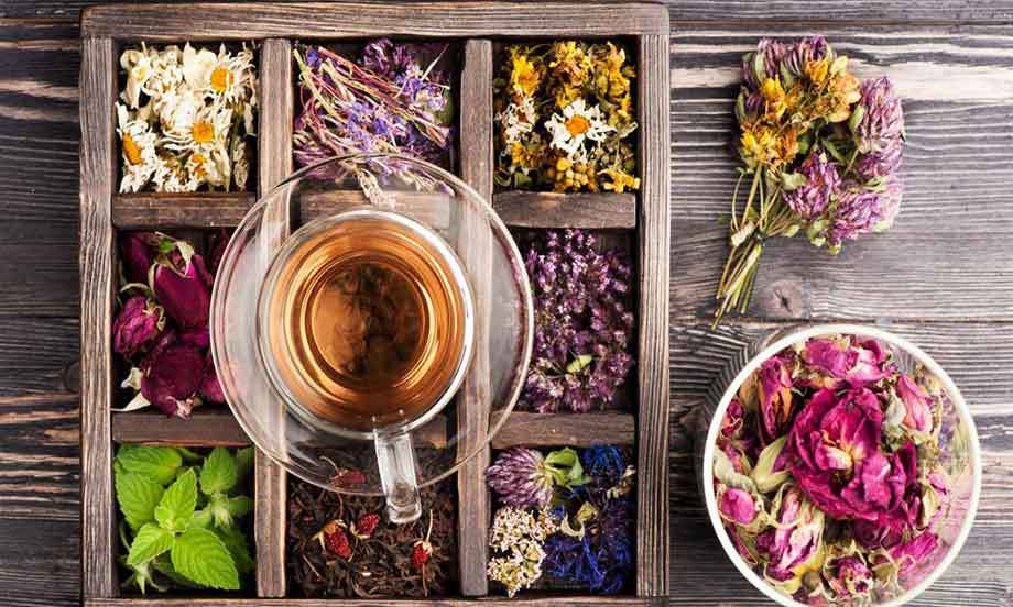 چه گیاهان دارویی نباید باهم مصرف شوند