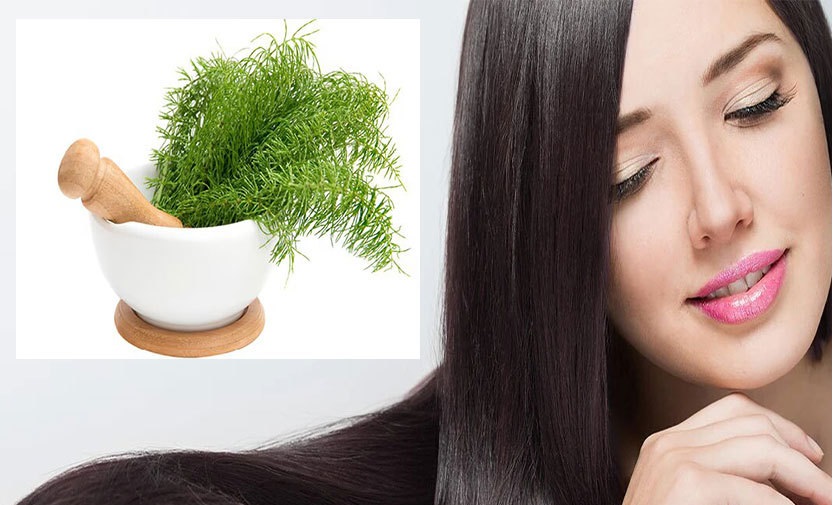 طریقه استفاده از گیاه دم اسب برای مو