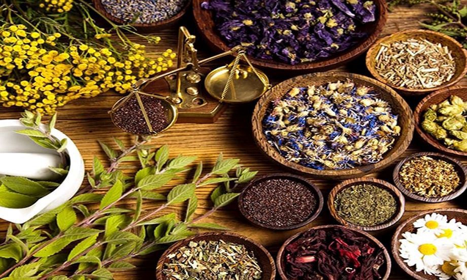 بهترین گیاه دارویی برای عفونت روده