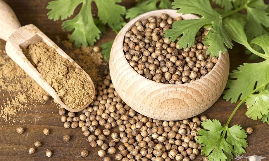 پودر گشنیز در چه غذاهایی استفاده میشود