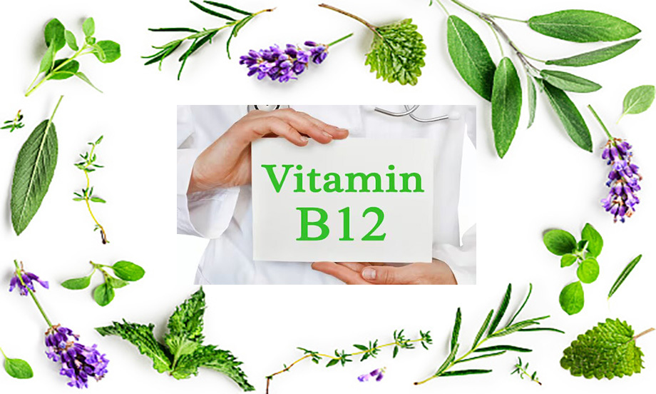 گیاهان دارویی دارای ویتامین b12
