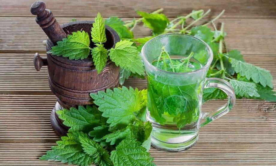 گیاهان دارویی دارای هورمون زنانه