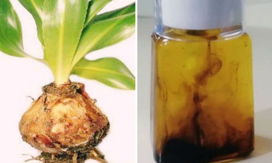 از کجا بفهمیم روغن کندش اصل است