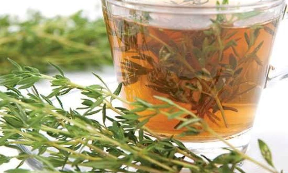 خواص دمنوش مرزنجوش در طب اسلامی