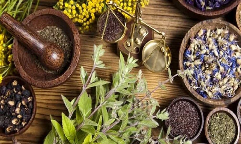 گیاهان دارویی با خاصیت ضد سرطان