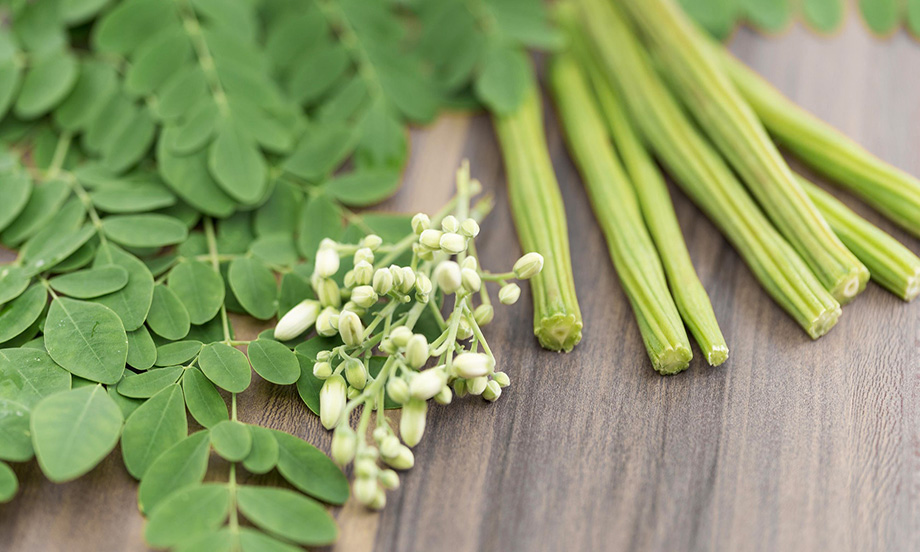 مورینگا یا گز روغنی