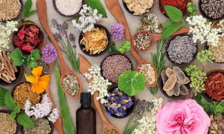 گیاهان دارویی برای درمان آرتروز