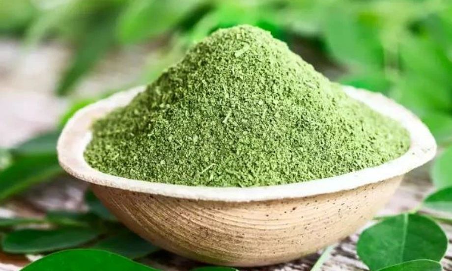 تهیه مورینگا