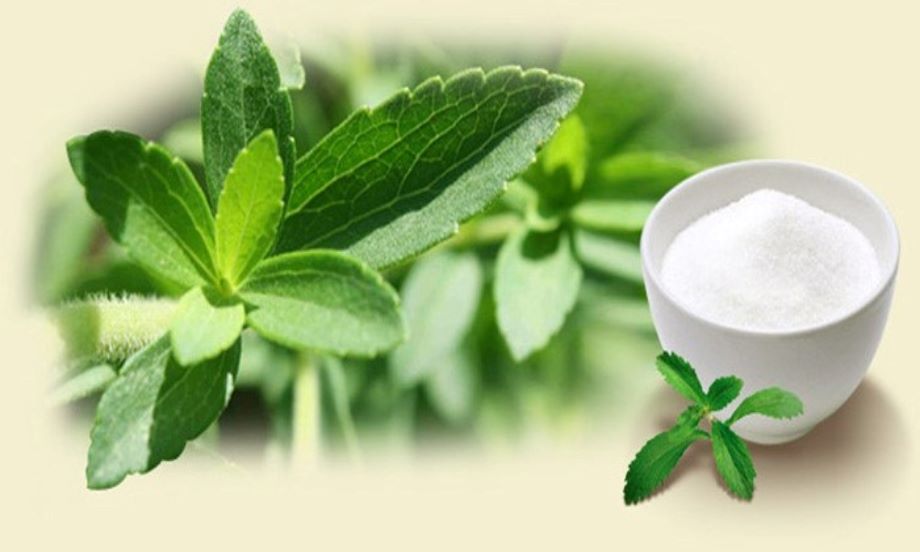 استویا شیرین کننده طبیعی