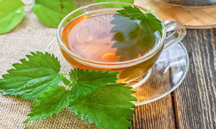 طرز تهیه دمنوش گزنه برای دیابت چگونه است