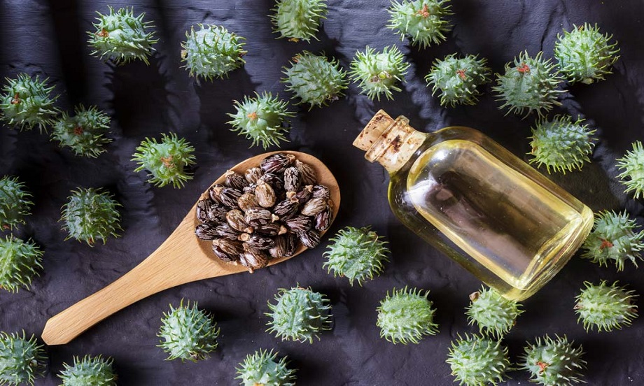 روغن سیاه دانه و کرچک برای چی خوبه؟ + 6 خاصیت بی نظیر آن