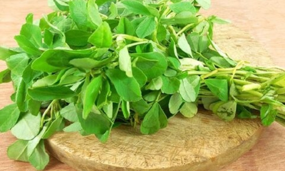 شنبلیله خشک در چه غذاهایی استفاده میشود