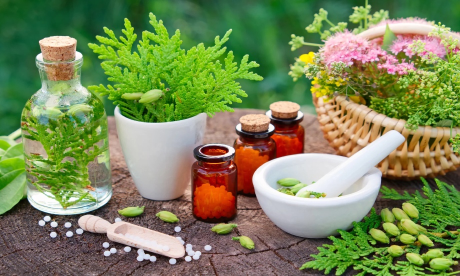 معرفی 10 نوع گیاهان دارویی ضخیم شدن موی سر