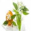 نمک صورتی چه کاربردی دارد؟ + کاربردهای نمک هیمالیا